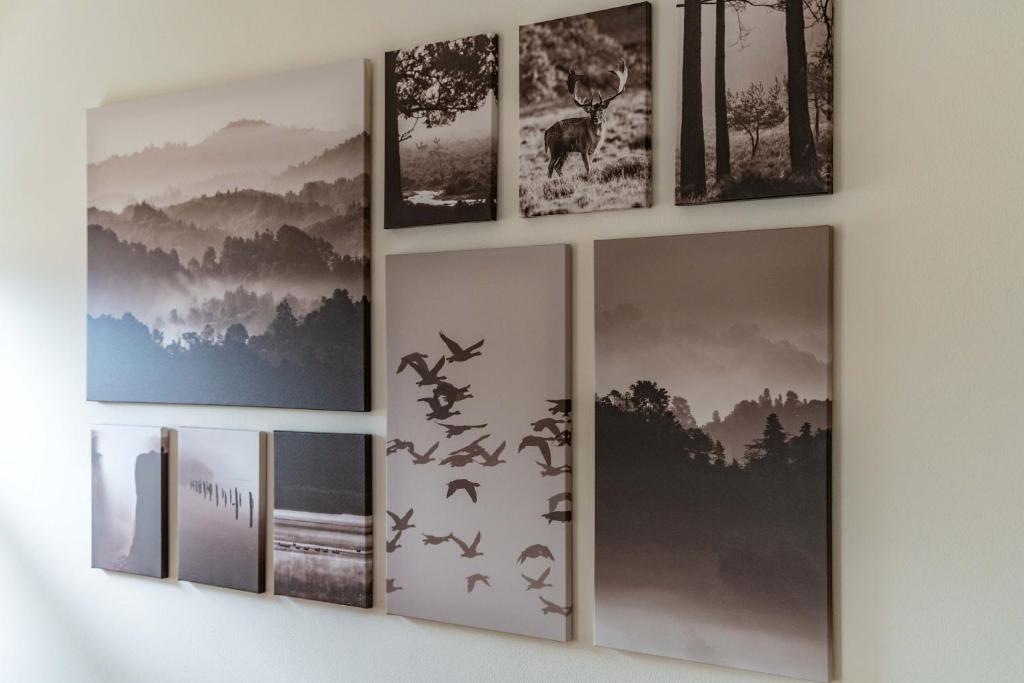 Fotografie z fotogalerie ubytování Trilo SaltaFoss v destinaci Andalo