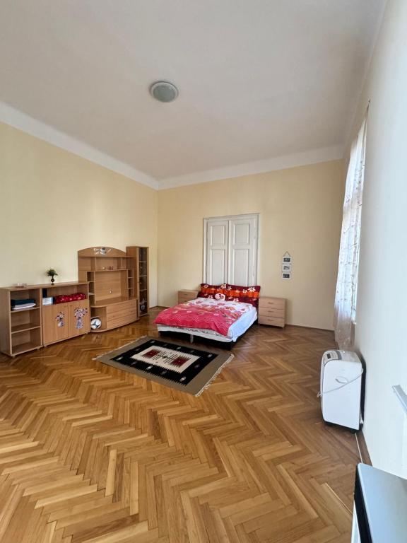 Posteľ alebo postele v izbe v ubytovaní Renáta great apartmant