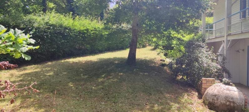 un arbre dans une cour à côté d'une maison dans l'établissement Le petit poucet, à Biscarrosse