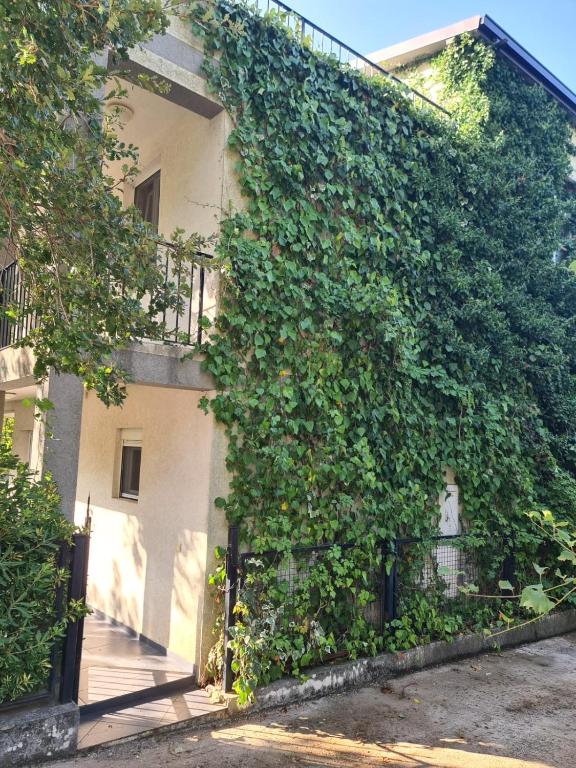 Zahrada ubytování Villa Nadija