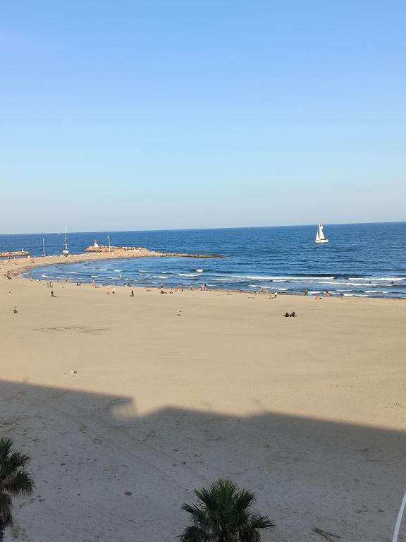 - une plage avec un groupe de personnes dans l'océan dans l'établissement Appartement Front de mer CIMER, à Canet