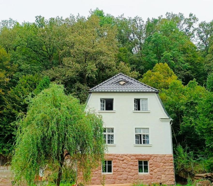 a white house with a tree in front of it at Dom pod Agatową Skałą we Wleniu in Wleń