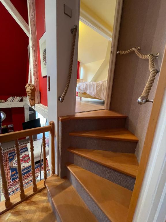 Colmar cosy guesthouse in old town 6 people – photo 13