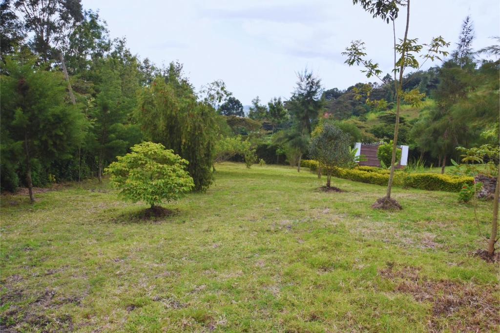 Zahrada ubytování Camping Garden 10 minutes from Ngong' Hills