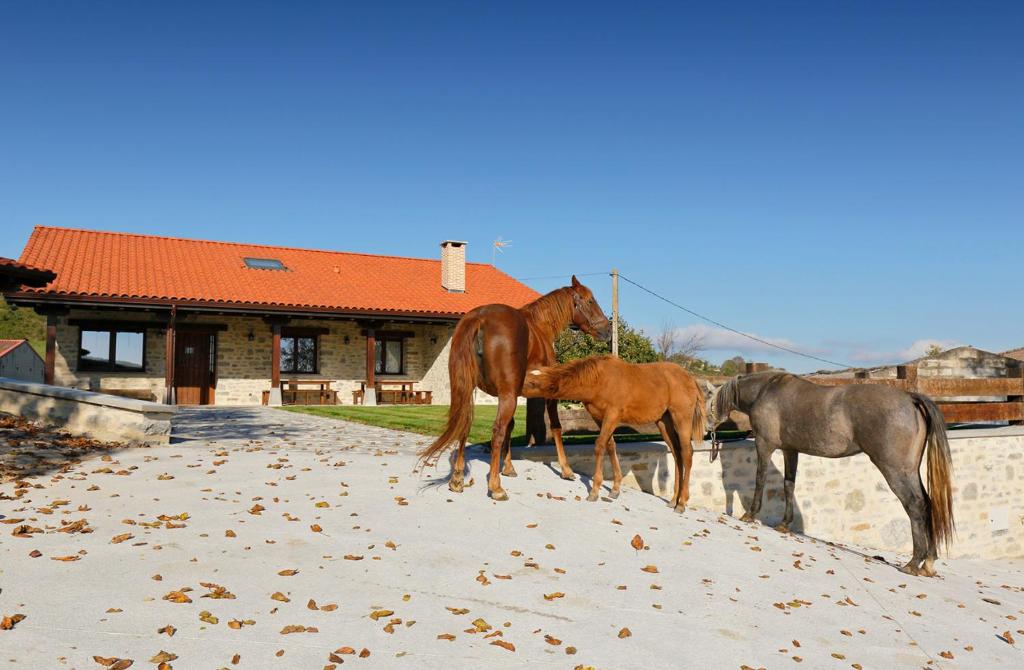 a group of horses standing in front of a house at Casa Rural El Ribero II in Montiano de Mena