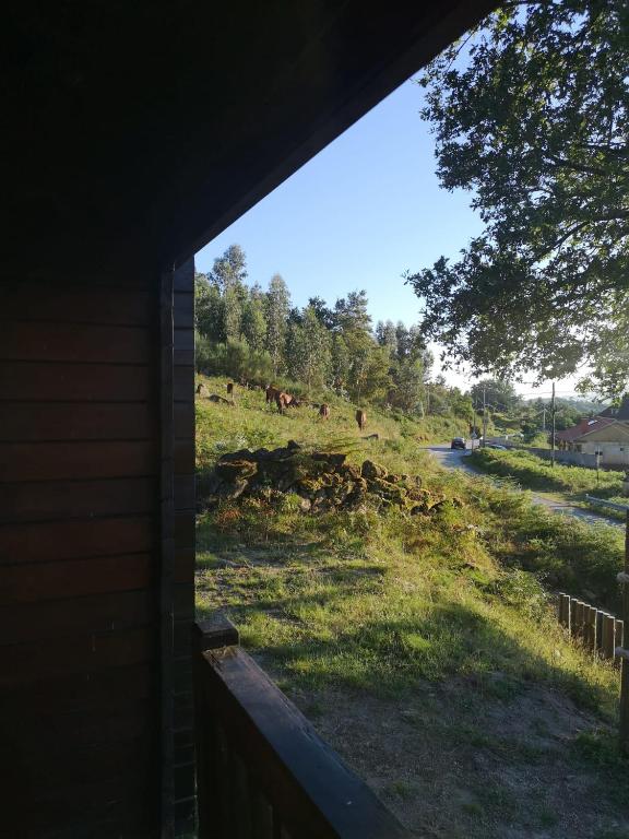 Zahrada ubytování Cabaninha de Cabana Maior