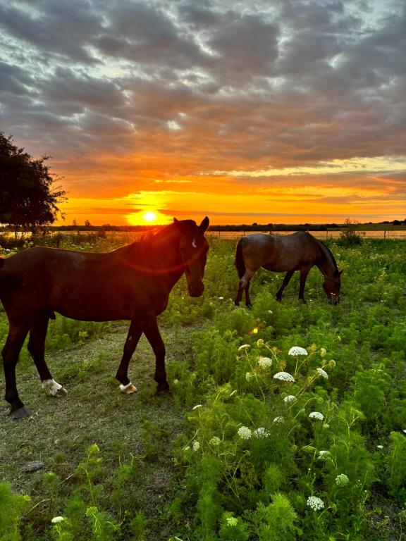 Don Natalio casa Rural