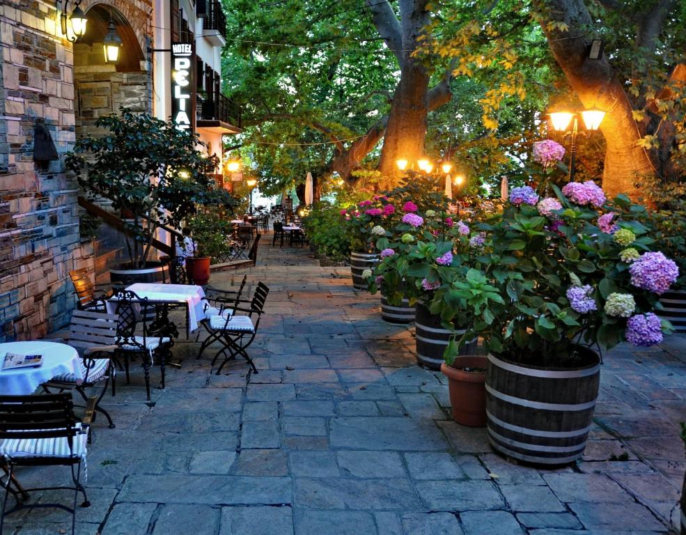Zahrada ubytování Pelias Hotel