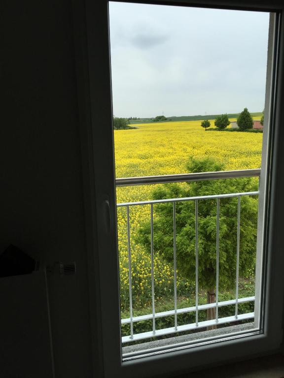 Landhaus Bennstedt - Apartamento De Una Habitación