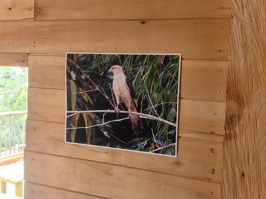 Fotografie z fotogalerie ubytování La Cabaña de Blue v destinaci Guarne