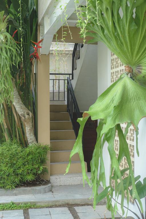 Zahrada ubytování Gypsy Lust Ubud