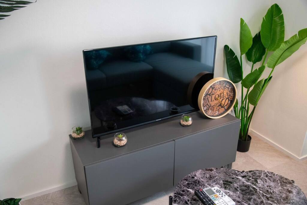 TV a/nebo společenská místnost v ubytování 横須賀アロハハウス702