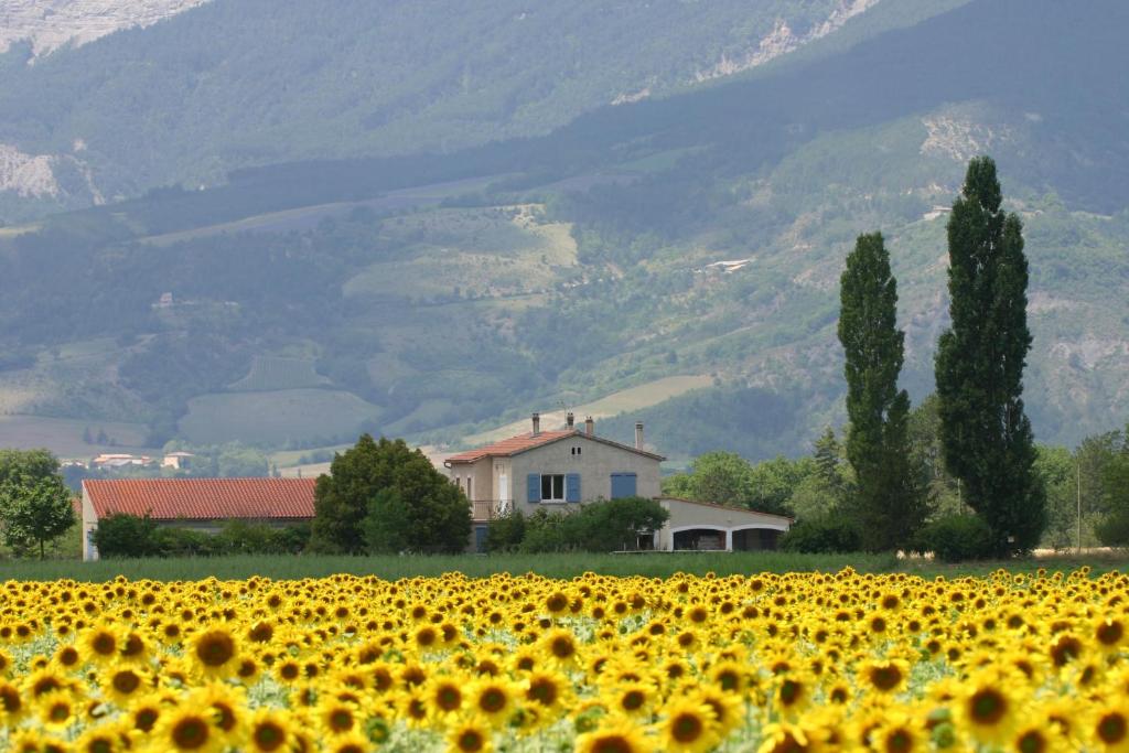 ein Feld von Sonnenblumen vor einem Haus in der Unterkunft Le Mas De Saint-Ferréol Etage in Menglon