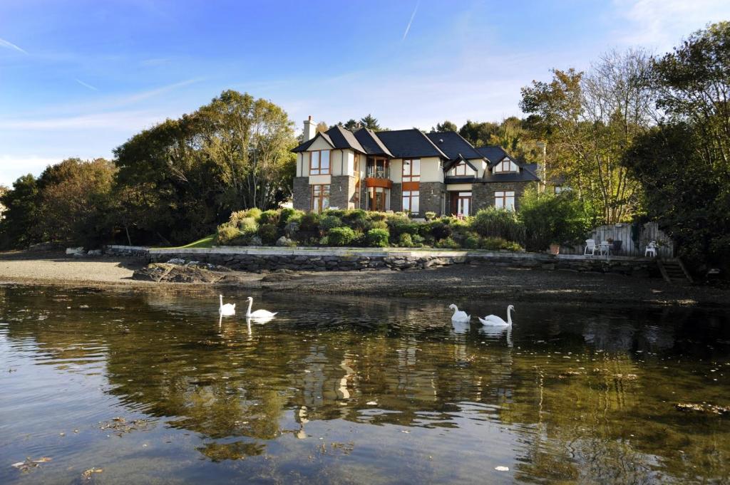 a house with swans in the water in front of it at Seafort Luxury Hideaway in Bantry