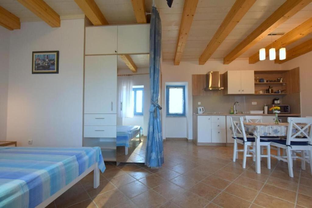 Kuchyň nebo kuchyňský kout v ubytování Apartments Insula Insule
