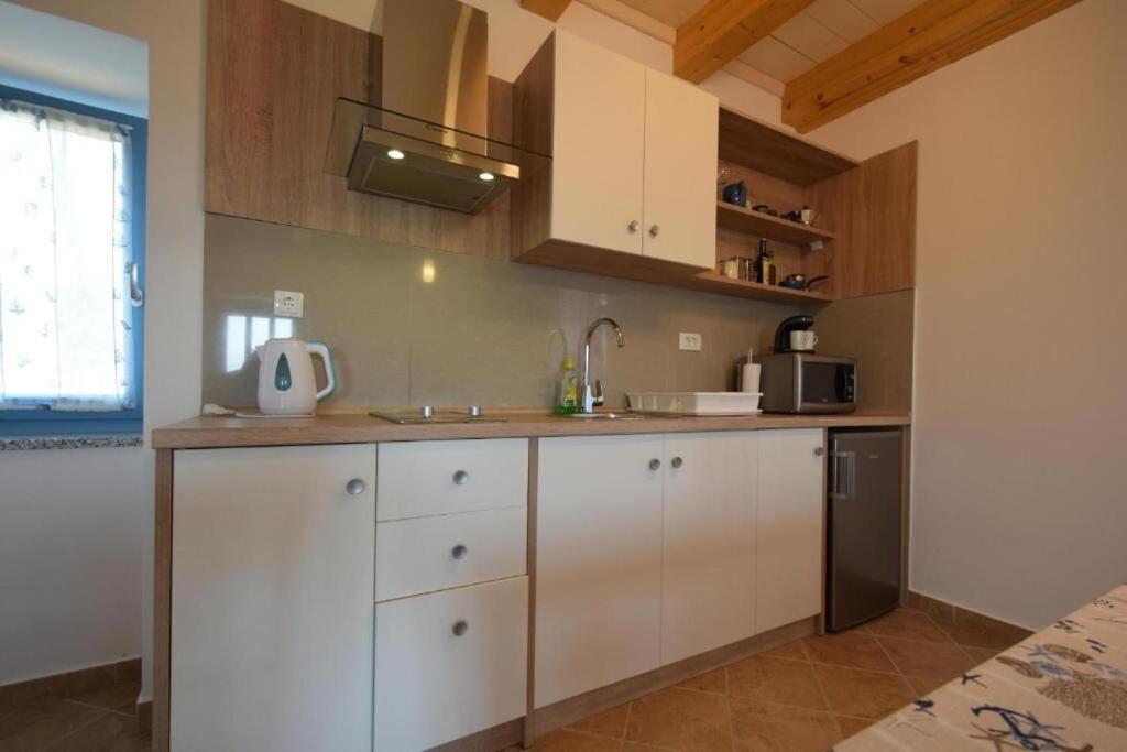 Kuchyň nebo kuchyňský kout v ubytování Apartments Insula Insule
