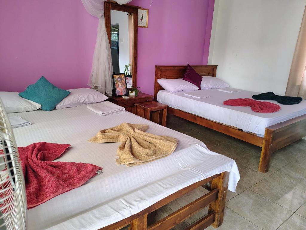 Bungalow Resort - Sigiriya - 5