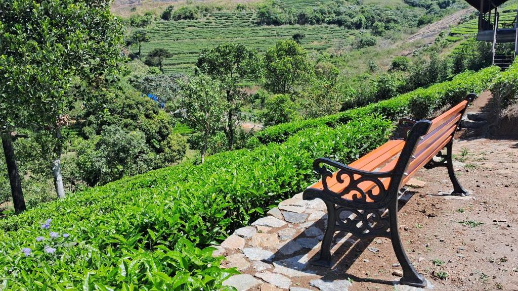a bench sitting on top of a hill with a view at Heritage Farm Kerala in Idukki