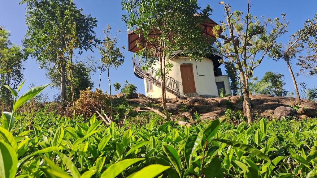 a house on top of a hill with trees at Heritage Farm Kerala in Idukki