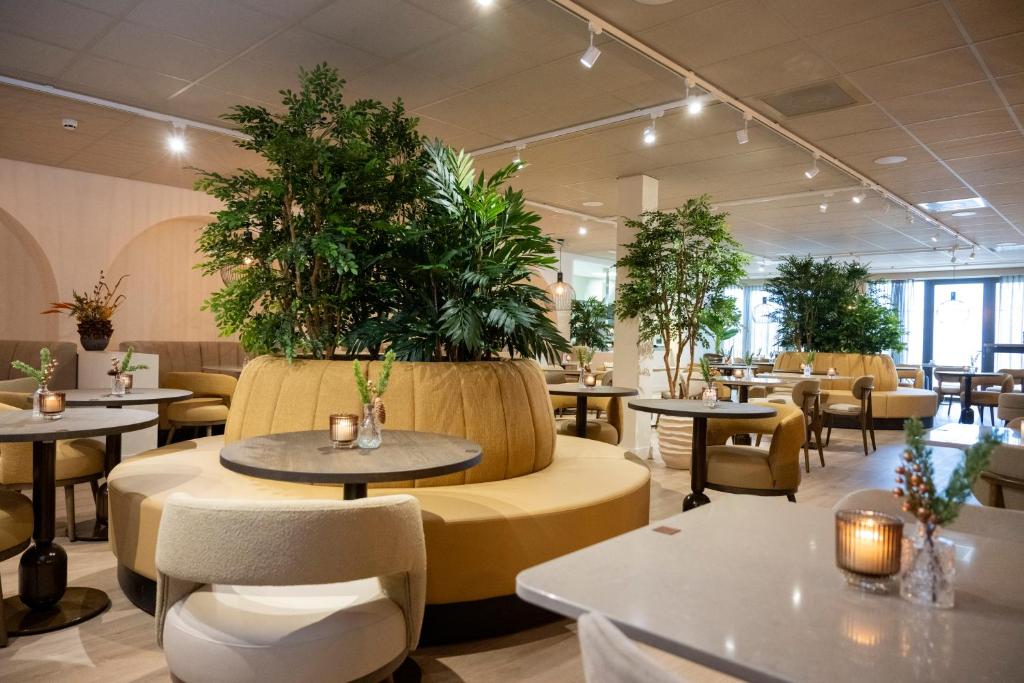 Hotel & Wellness Zuiver - Resim 21