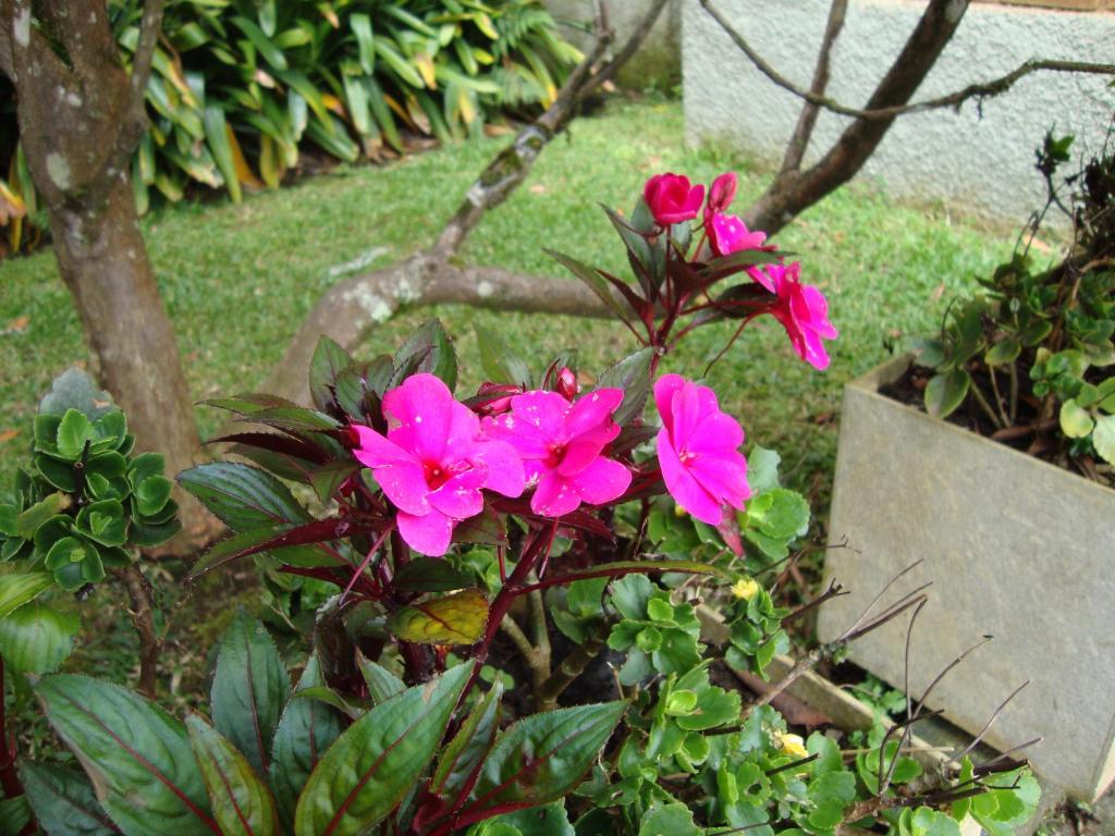  Sonho Verde Guest House