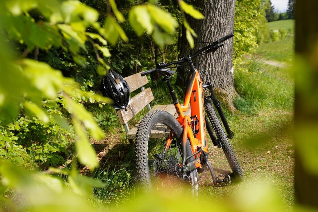 Jízda na kole v ubytování Camping Resort Bayerwald nebo okolí