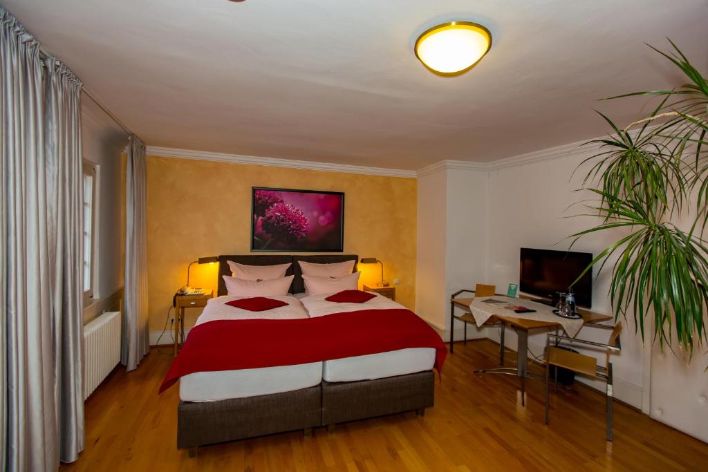 Hotel Goldener Falke - Resim 32