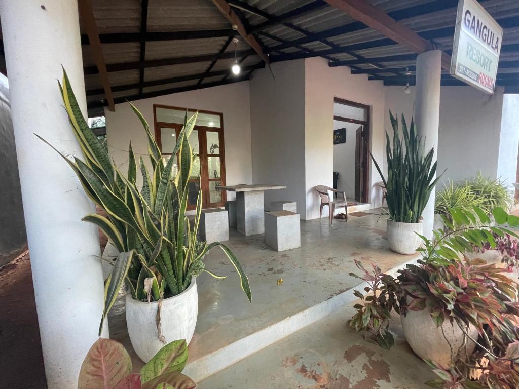 Fotografie z fotogalerie ubytování Gangula Resort v destinaci Anuradhápura