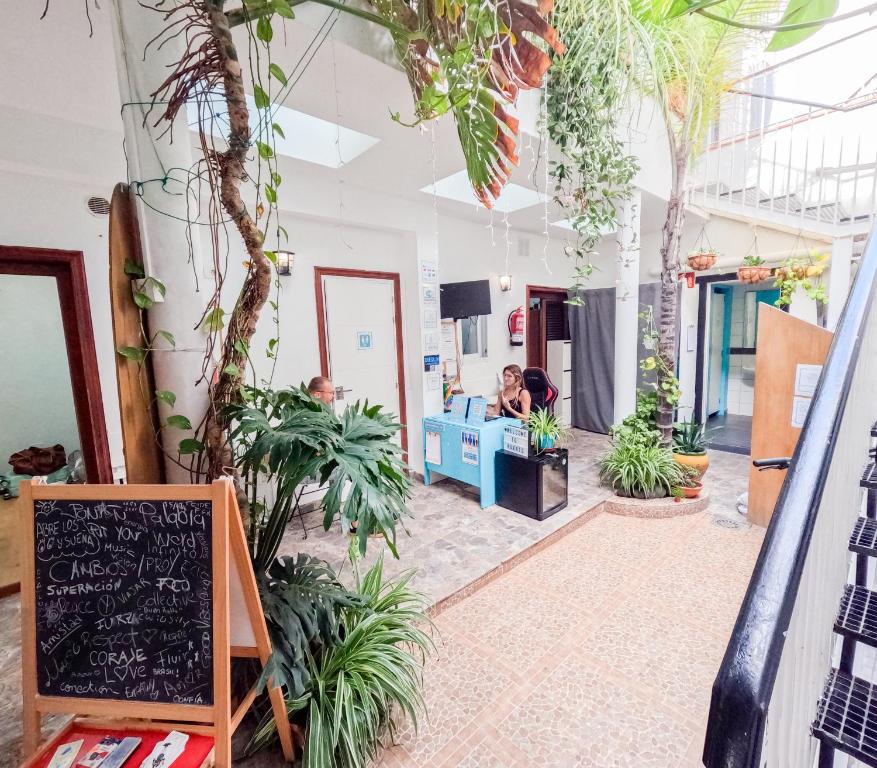 Fotografie z fotogalerie ubytování Puerto Nest Hostel v destinaci Puerto de la Cruz