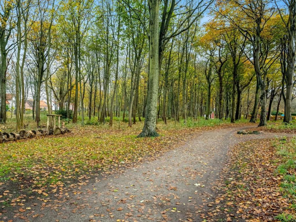 Táj az apartman közelében