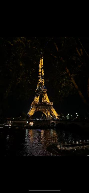 Зображення з фотогалереї помешкання Eiffel Tower View Haussmanian Charm 2min walk from the Eiffel Tower gardens у Парижі