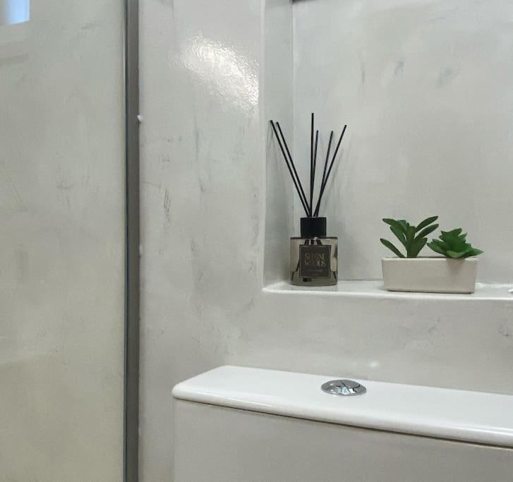 Un baño de Central