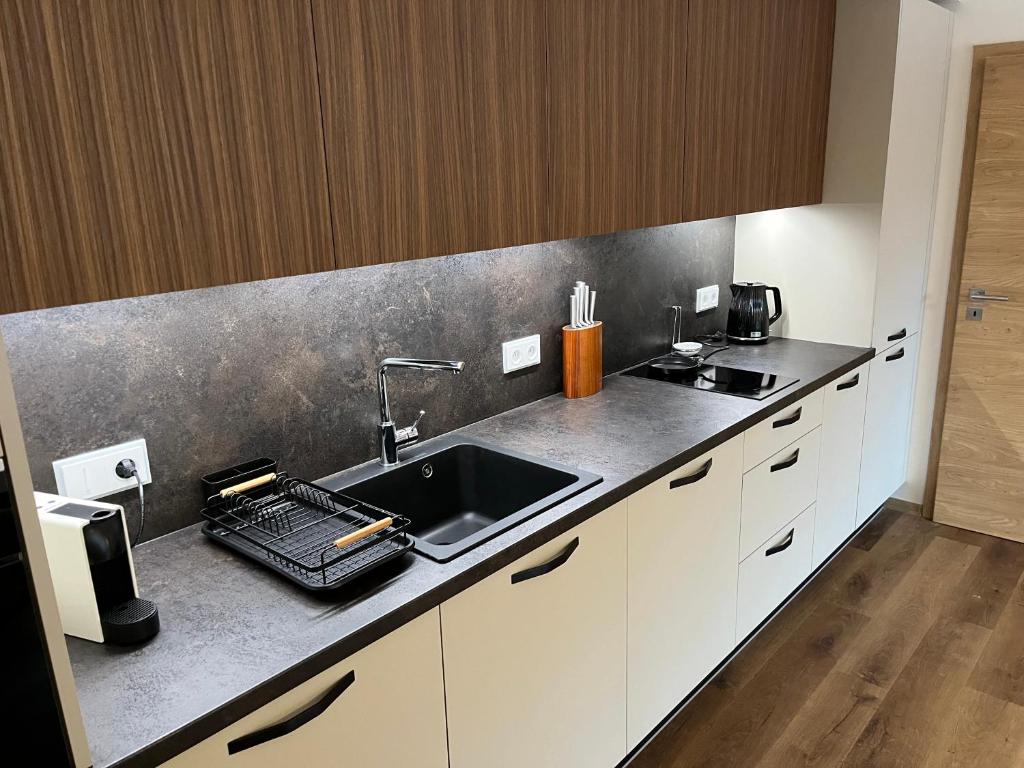 Kuchyň nebo kuchyňský kout v ubytování Apartmán Hruška Černý Důl