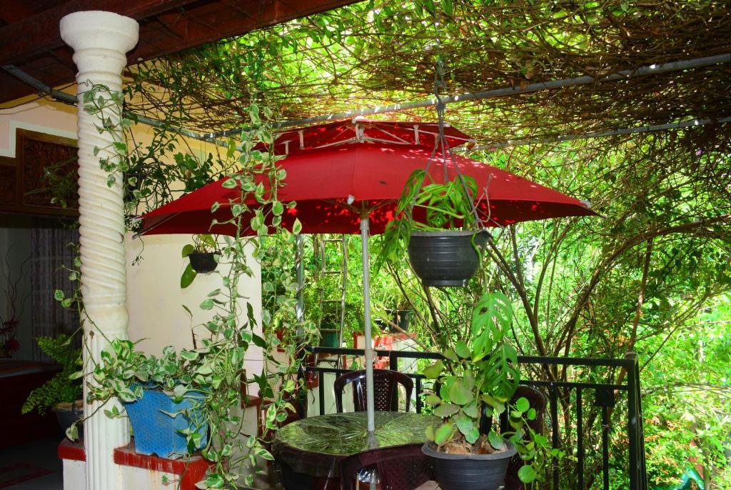 Tissa Rainbow Guest & Yala - 7