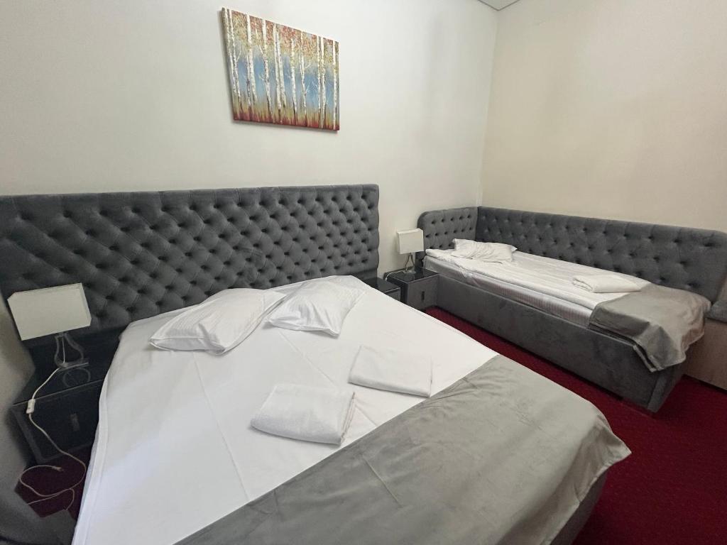 Postel nebo postele na pokoji v ubytování Hotel Stavilar