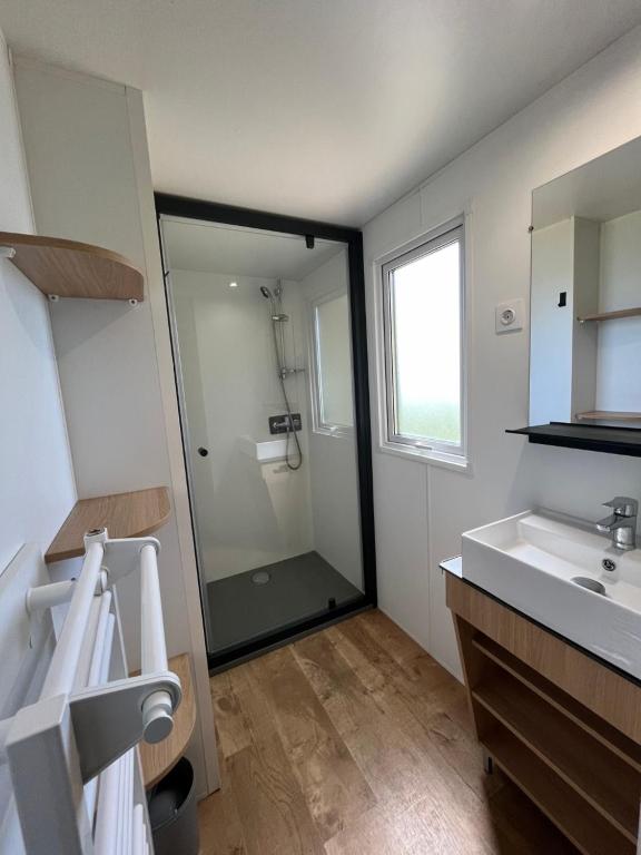 a bathroom with a shower and a sink at Camping de la Bageasse in Brioude