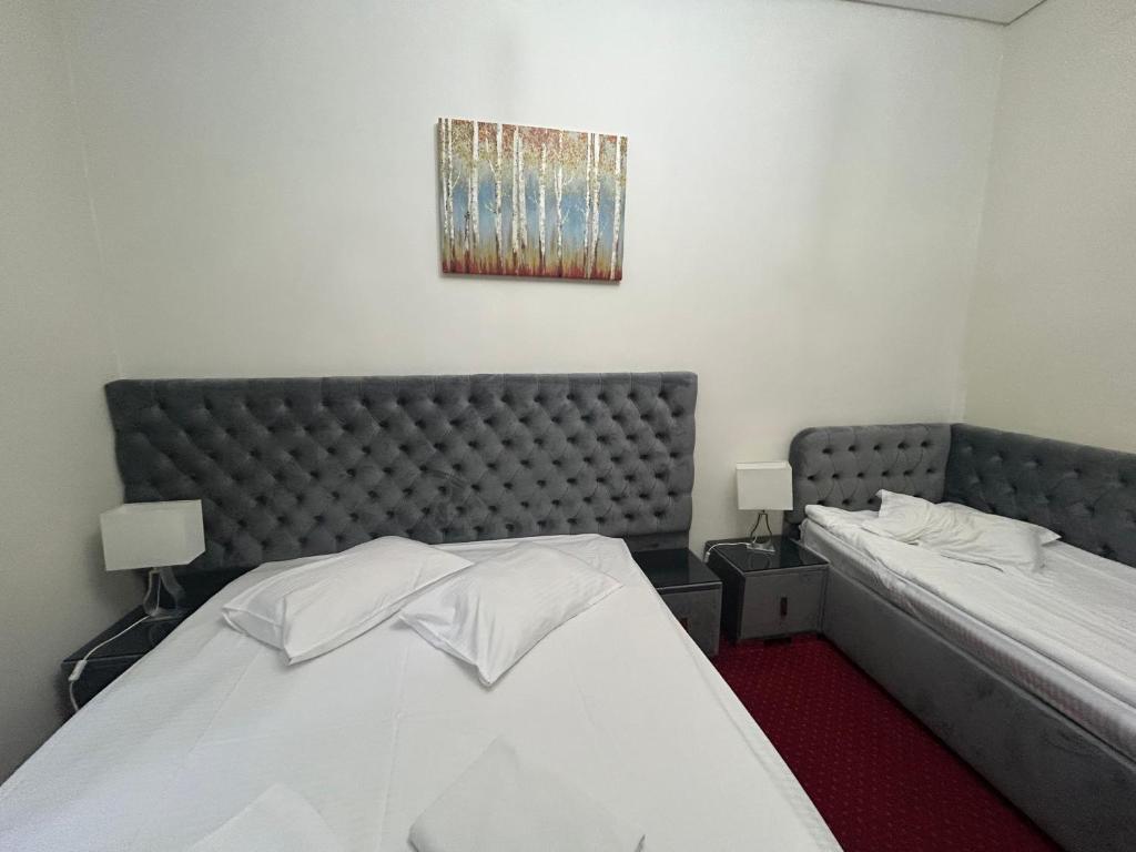 Postel nebo postele na pokoji v ubytování Hotel Stavilar