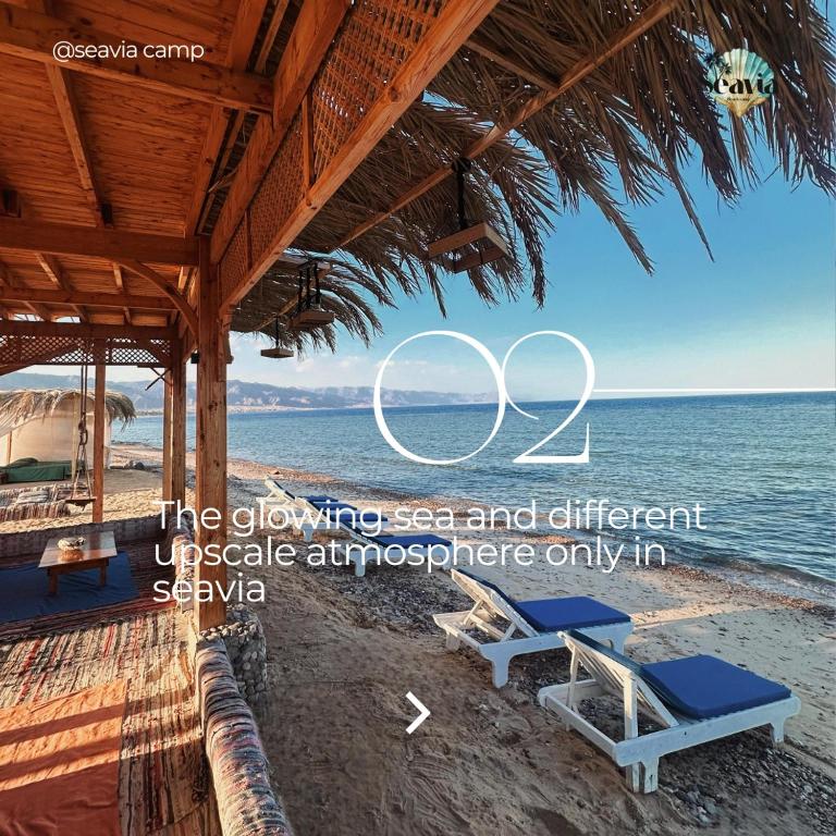 Fotografie z fotogalerie ubytování Seavia Camp v destinaci Wāsiţ