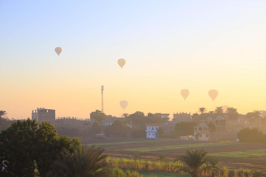 a group of hot air balloons flying over a city at Moka Gust House in Luxor