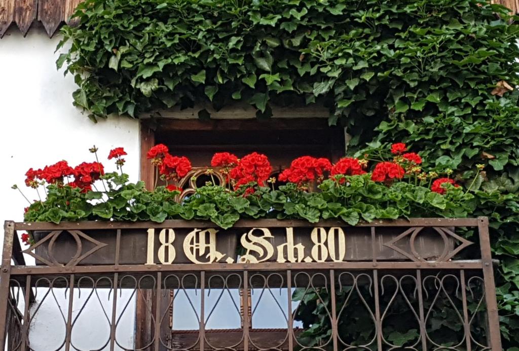 Κήπος έξω από το Ferienwohnung 1880