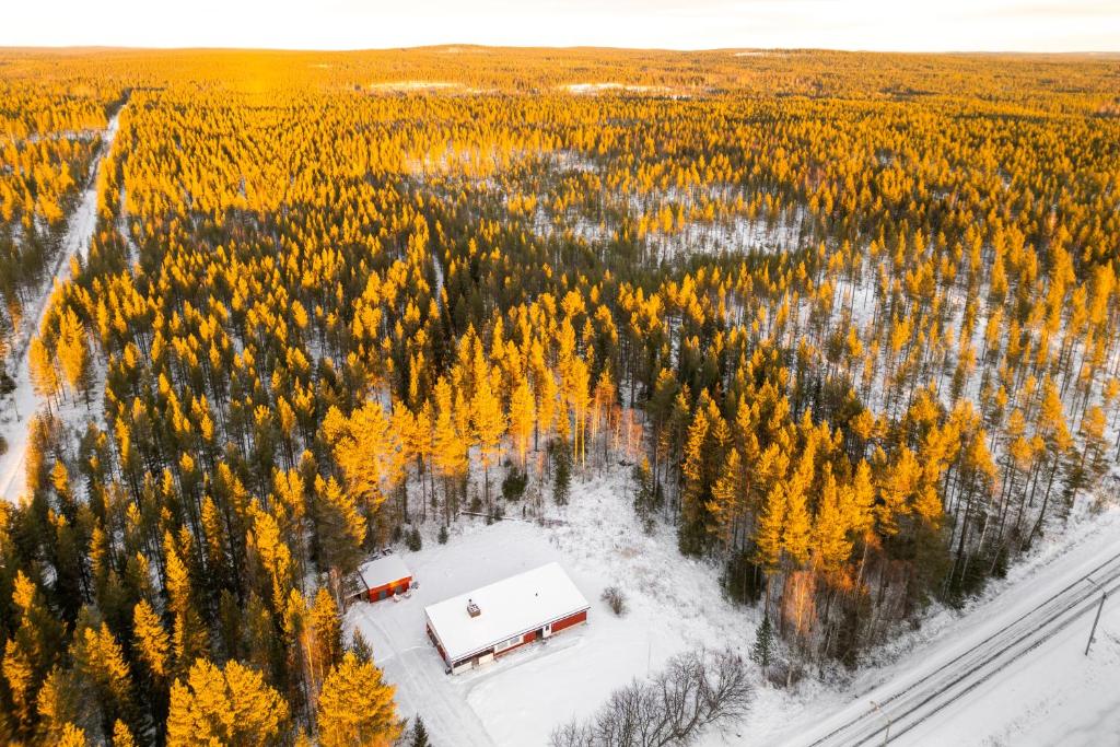 an aerial view of a truck in a forest at Lapland Homestead - authentic finnish hideaway in Rovaniemi