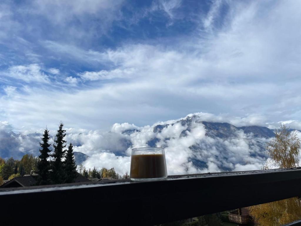 Petit Nid au Chaedoz - Nendaz, 4 Vallées - Resim 21