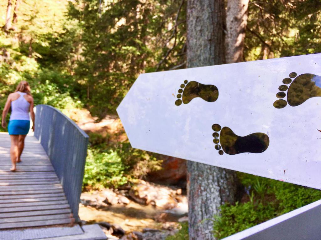 Petit Nid au Chaedoz - Nendaz, 4 Vallées - Resim 23