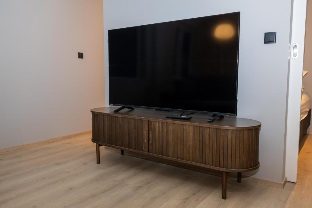 TV a/nebo společenská místnost v ubytování Storigardur Premium Apartments