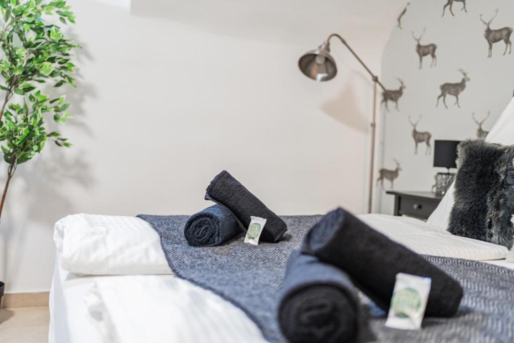 Innsbruck Underground Atelier - Resim 19