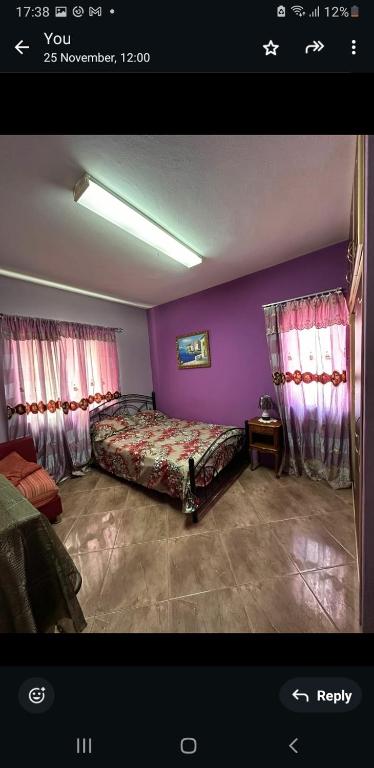 a bedroom with a bed with purple walls and curtains at villa jam in Pamplemousses Village
