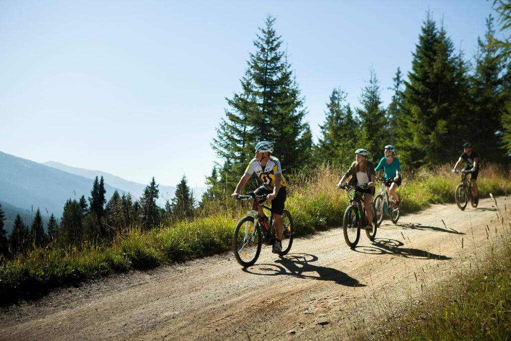 Jazda na bicykli v okolí ubytovania Landal Katschberg