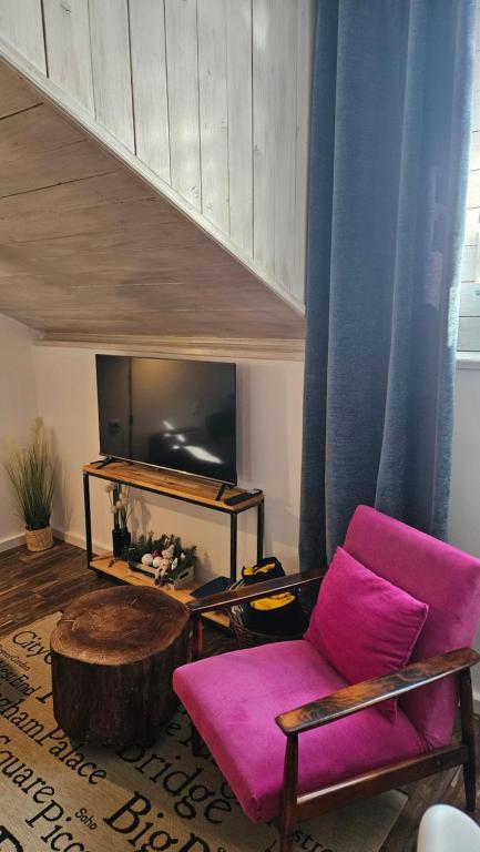 TV a/nebo společenská místnost v ubytování Studio apartman Gradna