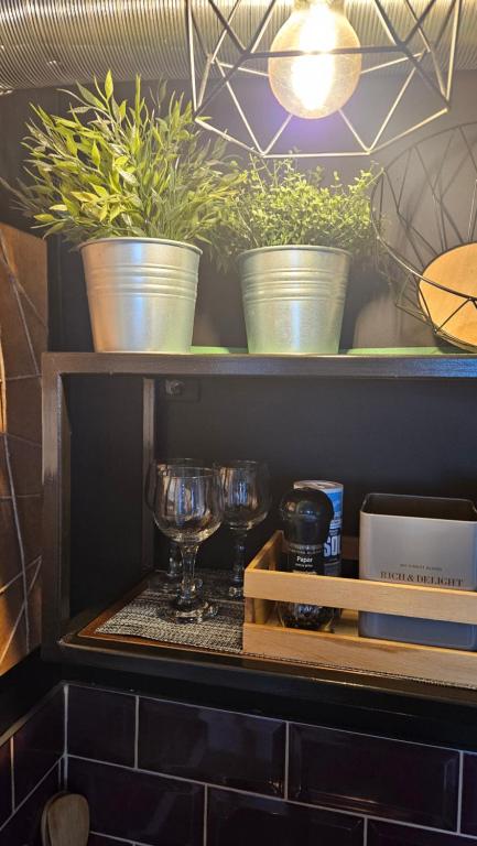 Kuchyň nebo kuchyňský kout v ubytování Studio apartman Gradna