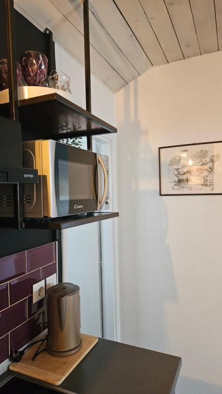 Kuchyň nebo kuchyňský kout v ubytování Studio apartman Gradna